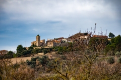 Best_Photos-032