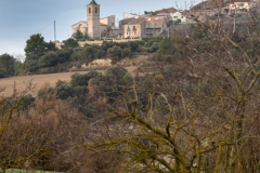 Best_Photos-034