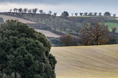 Best_Photos-037