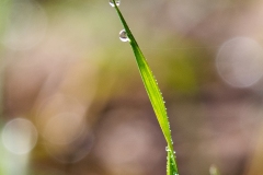 Best_Photos-039