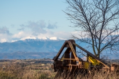 Best_Photos-041