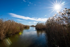 Best_Photos-069