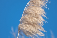 Best_Photos-072