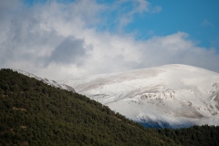 Best_Photos-077