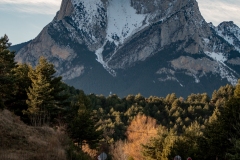 Best_Photos-081
