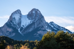 Best_Photos-082