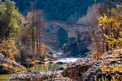 Best_Photos-084