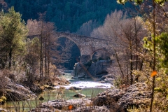 Best_Photos-085