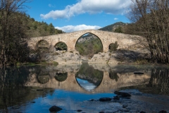Best_Photos-086