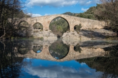 Best_Photos-087
