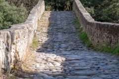 Best_Photos-088