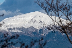 Best_Photos-091