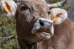Best_Photos-092