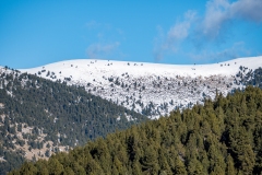 Best_Photos-096