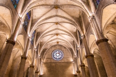 Best_Photos-101
