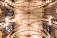 Best_Photos-105