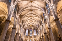 Best_Photos-107