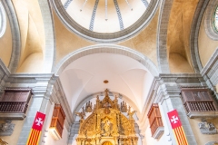 Best_Photos-113