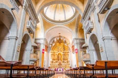 Best_Photos-114