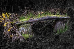 Best_Photos-116