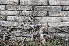 Best_Photos-117
