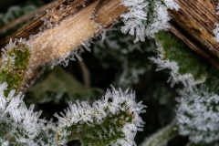 Best_Photos-119