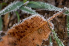 Best_Photos-120