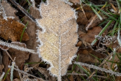 Best_Photos-121