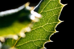 Best_Photos-122