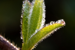 Best_Photos-123