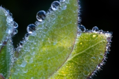 Best_Photos-124