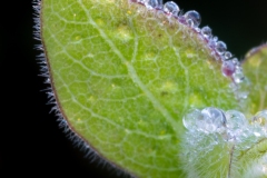 Best_Photos-125
