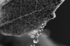 Best_Photos-128