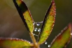 Best_Photos-129