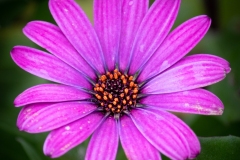 Best_Photos-132