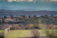 Best_Photos-133