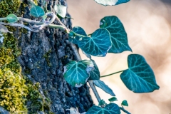 Best_Photos-137