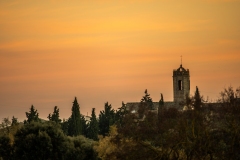 Best_Photos-139