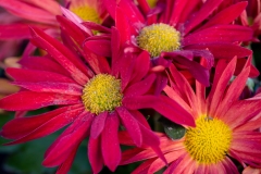 Best_Photos-144