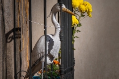 Best_Photos-145