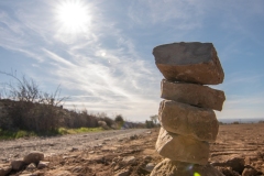 Best_Photos-147