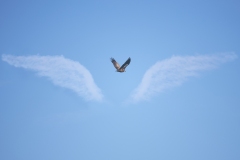 Best_Photos-148