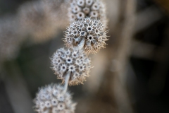 Best_Photos-149
