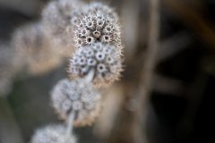 Best_Photos-150