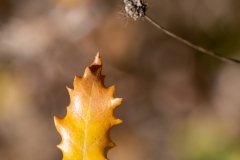 Best_Photos-151