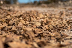 Best_Photos-153
