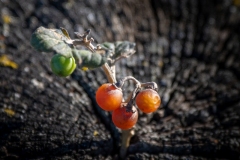 Best_Photos-154