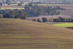 Best_Photos-155