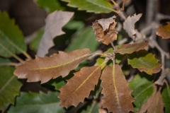 Best_Photos-156