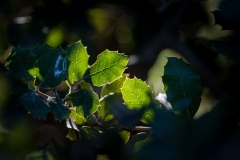 Best_Photos-157